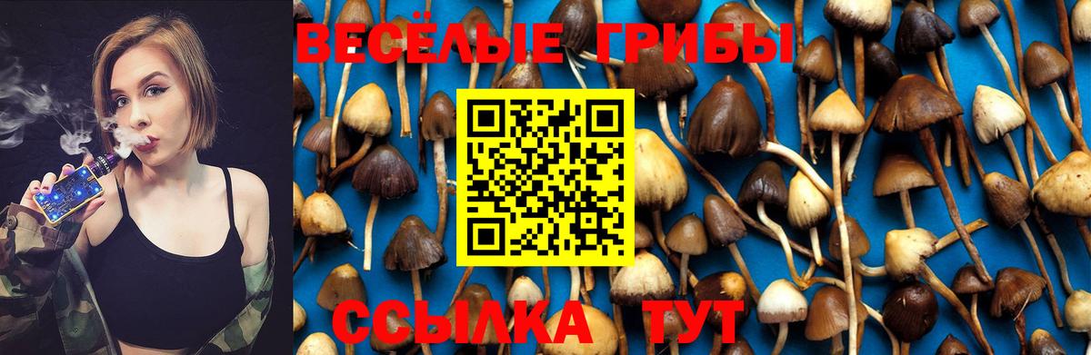 продажа наркотиков  Вход с VPN  Лянтор  Галлюциногенные грибы прущие грибы 