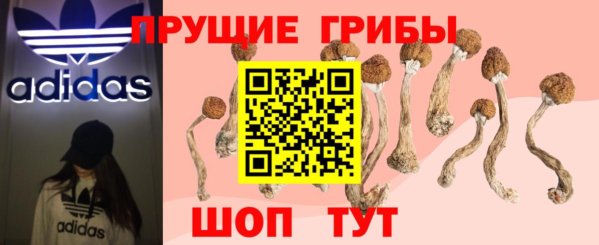 Псилоцибиновые грибы Magic Shrooms Лянтор
